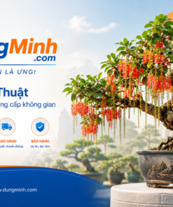 Cây lộc vừng